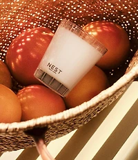 NEST New York Grapefruit Classic Candle, 8.1 oz.