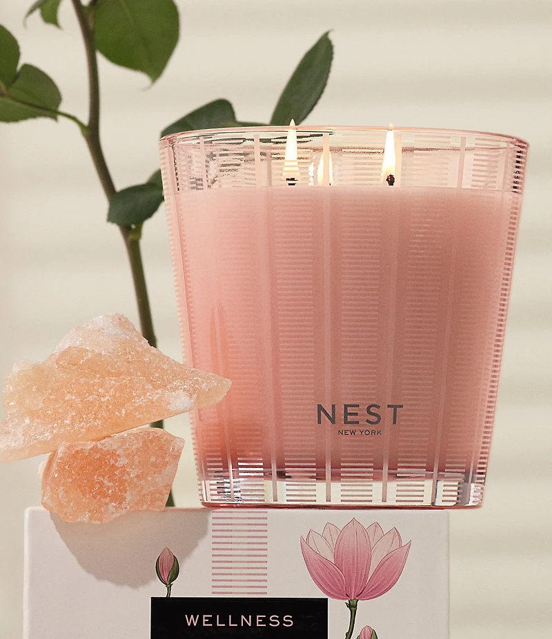 NEST New York Himalayan Salt & Rosewater 3-Wick Candle