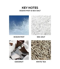 NEST New York Ocean Mist & Sea Salt Liquid Soap