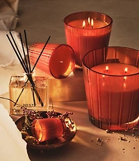 NEST New York Pumpkin Chai Reed Diffuser