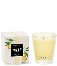 NEST New York Sunlit Yuzu & Neroli Classic Candle, 8.1 oz.