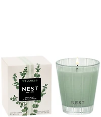 NEST New York Wild Mint & Eucalyptus Classic Candle