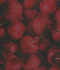 Never Fully Dressed Cherry Print Soho Crew Neck Long Sleeve Mesh Bodycon Maxi Dress