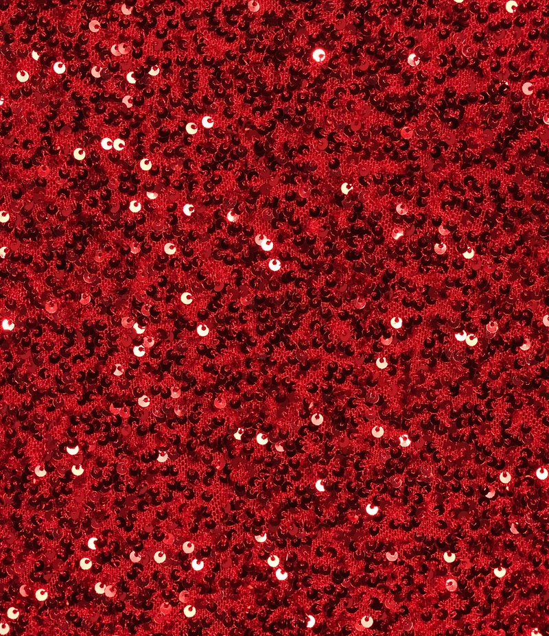 Never Fully Dressed Plus Size Sequin Crew Neck Short Sleeve Top