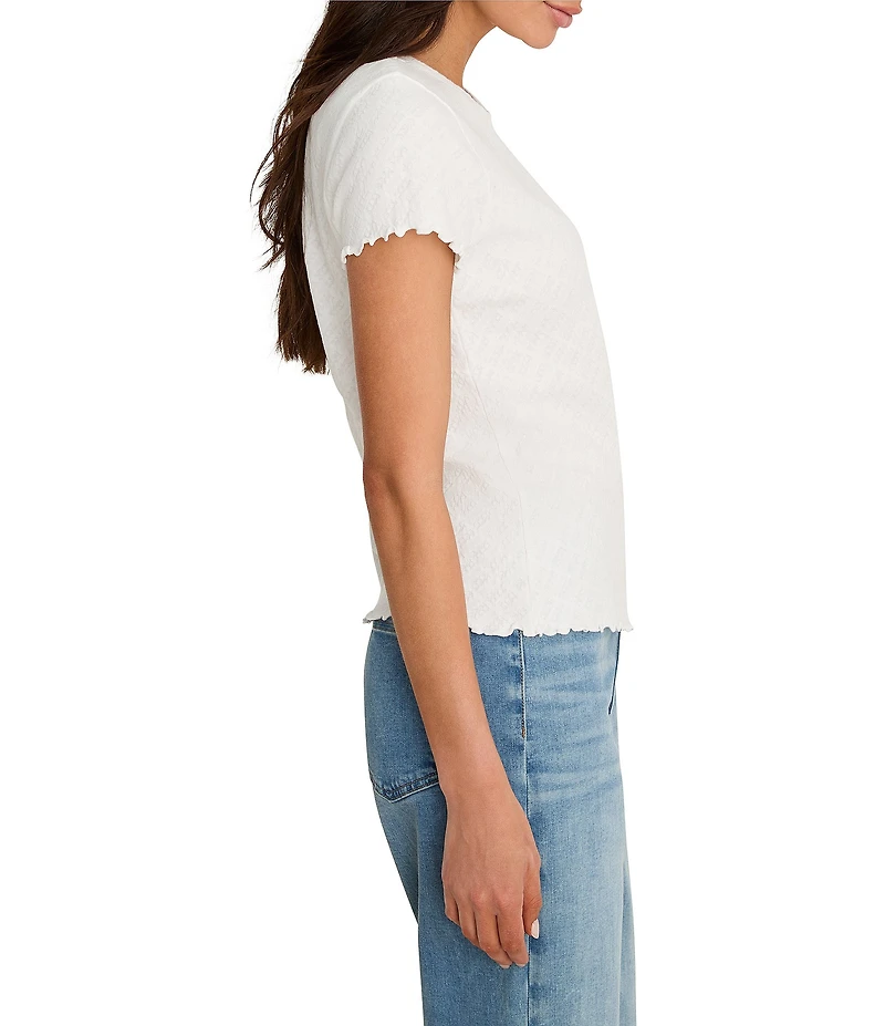 NIC + ZOE Lace Knit Crew Neck Short Sleeve Tee