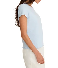 NIC + ZOE Lace Knit Crew Neck Short Sleeve Tee