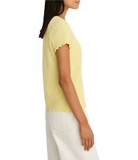 NIC + ZOE Lace Knit Crew Neck Short Sleeve Tee