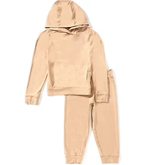 Nike Little Boys Raglan Sleeve Sunset Knit Hoodie & Jogger Pants Set