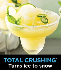 Ninja Professional Plus Kitchen System with Auto-iQ