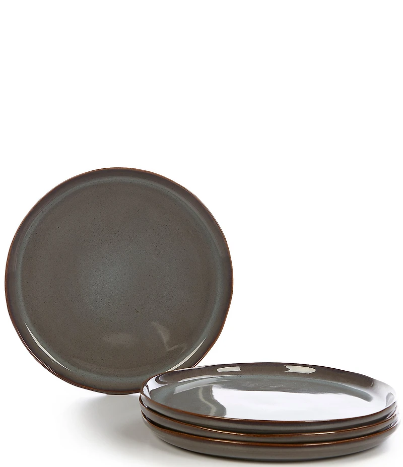 Noble Excellence Aurora Collection Dinner Plates, Set of 4