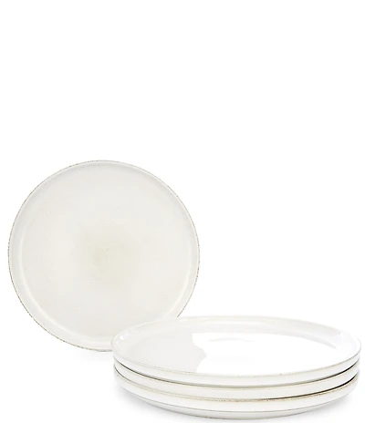 Noble Excellence Aurora Collection Dinner Plates, Set of 4