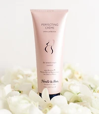 Noodle & Boo Prenatal Starter Kit