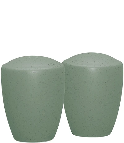 Noritake Colorwave Salt & Pepper Set