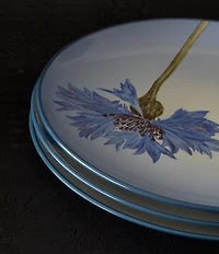 Noritake Colorwave Blue Cornflower Stoneware Accent Salad Plates, Set of 4