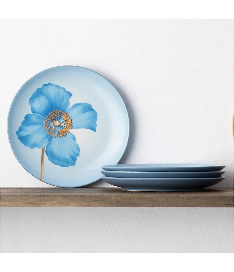 Noritake Colorwave Ice Poppy Accent/Luncheon Floral Plates, Set of 4