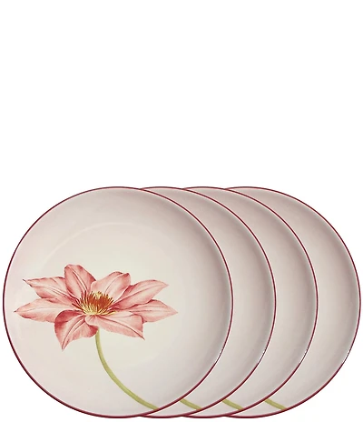 Noritake Colorwave Raspberry Clematis Accent/Luncheon Floral Plates, Set of 4