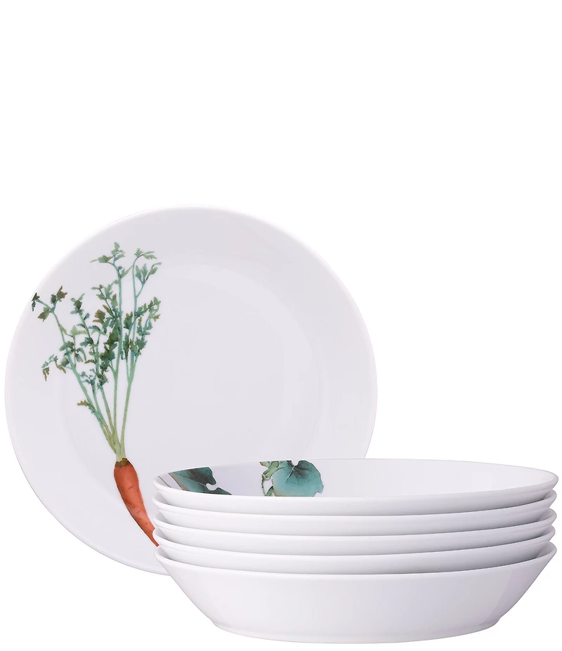 Noritake Kyoka Shunsai Collection Coupe Dinner Bowls, Set of 4