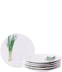 Noritake Kyoka Shunsai Collection Set of 6 Assorted Appetizer Plates