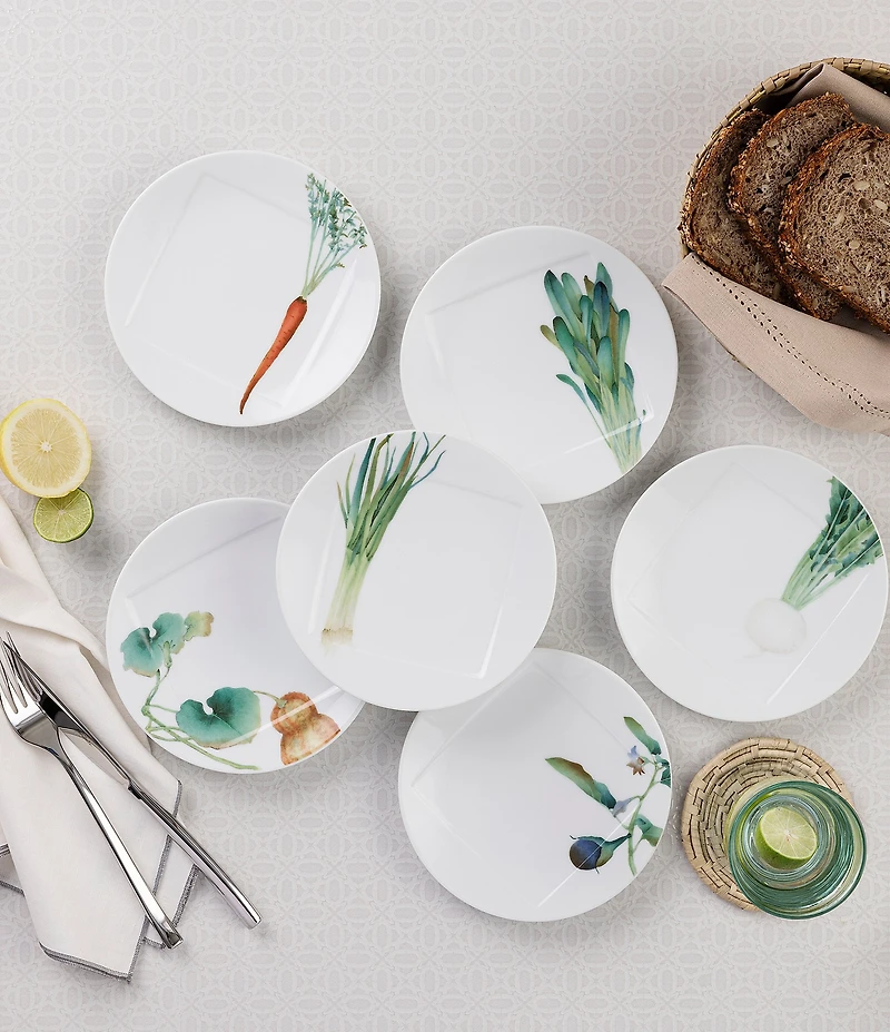 Noritake Kyoka Shunsai Collection Set of 6 Assorted Appetizer Plates