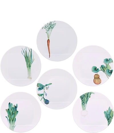 Noritake Kyoka Shunsai Collection Assorted Dinner Plates, Set of 6