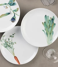 Noritake Kyoka Shunsai Collection Assorted Salad Plates, Set of 6