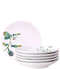 Noritake Kyoka Shunsai Collection Deep Plates, Set of 6