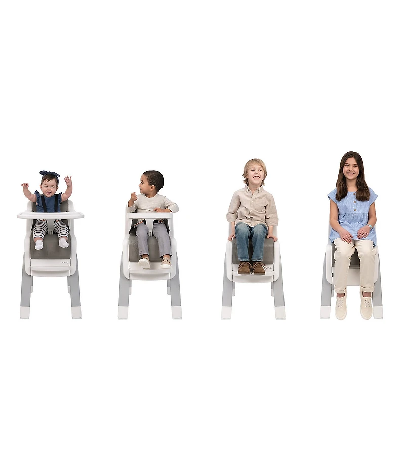 Nuna Zaaz High Chair