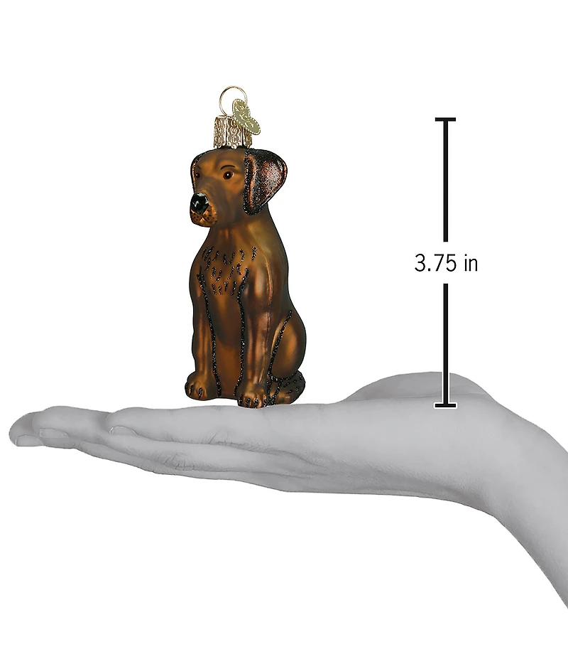 Old World Christmas Chocolate Labrador Glass Ornament