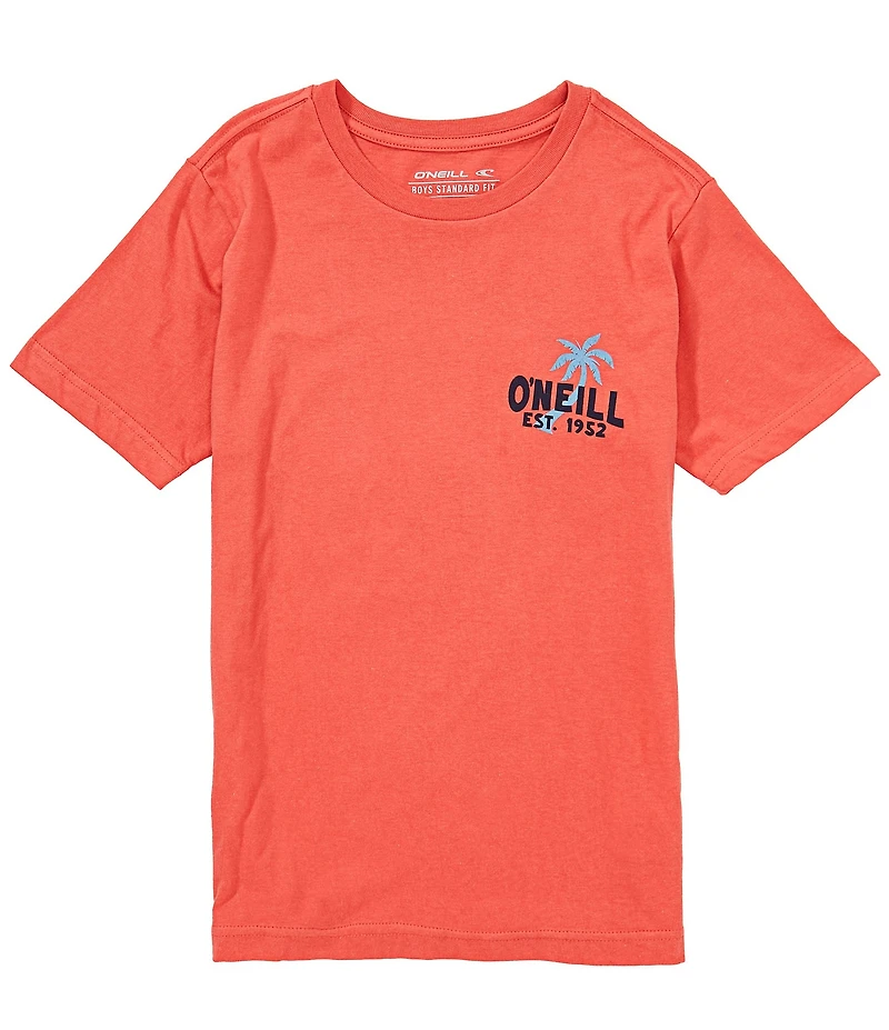 O'Neill Big Boys Short-Sleeve Axelrad Van Graphic T-Shirt