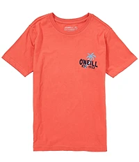 O'Neill Big Boys Short-Sleeve Axelrad Van Graphic T-Shirt