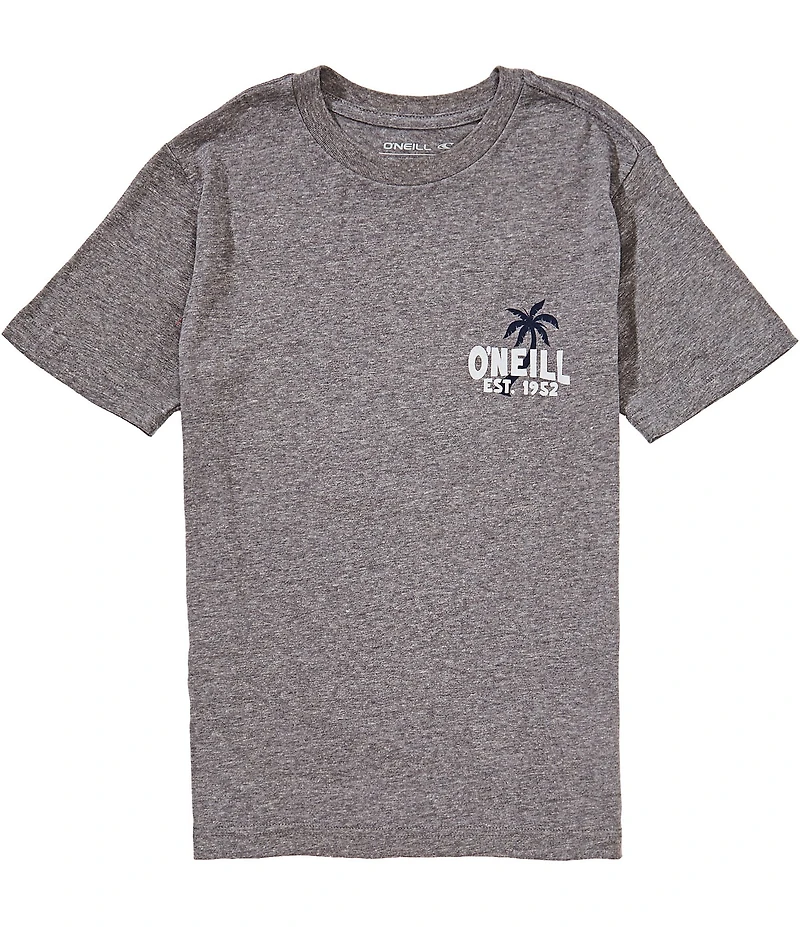 O'Neill Big Boys Short-Sleeve Axelrad Van Graphic T-Shirt