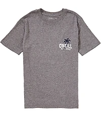 O'Neill Big Boys Short-Sleeve Axelrad Van Graphic T-Shirt