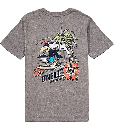 O'Neill Big Boys Short Sleeve Micawber Surf T-Shirt
