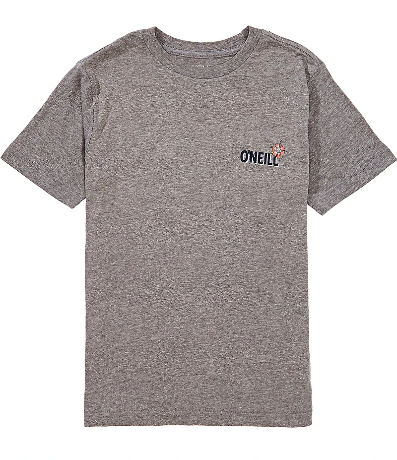 O'Neill Big Boys Short Sleeve Micawber Surf T-Shirt