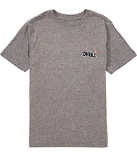 O'Neill Big Boys Short Sleeve Micawber Surf T-Shirt