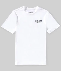 O'Neill Big Boys Short-Sleeve TRVLR UPF Isle T-Shirt