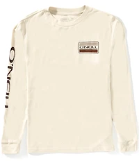 O'Neill Big Boys Banner Long Sleeve Banner T-Shirt
