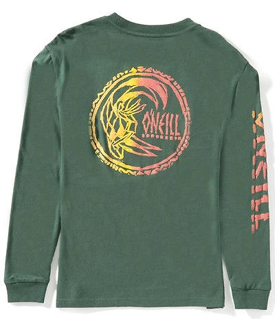 O'Neill Big Boys Long Sleeve Artifact T-Shirt