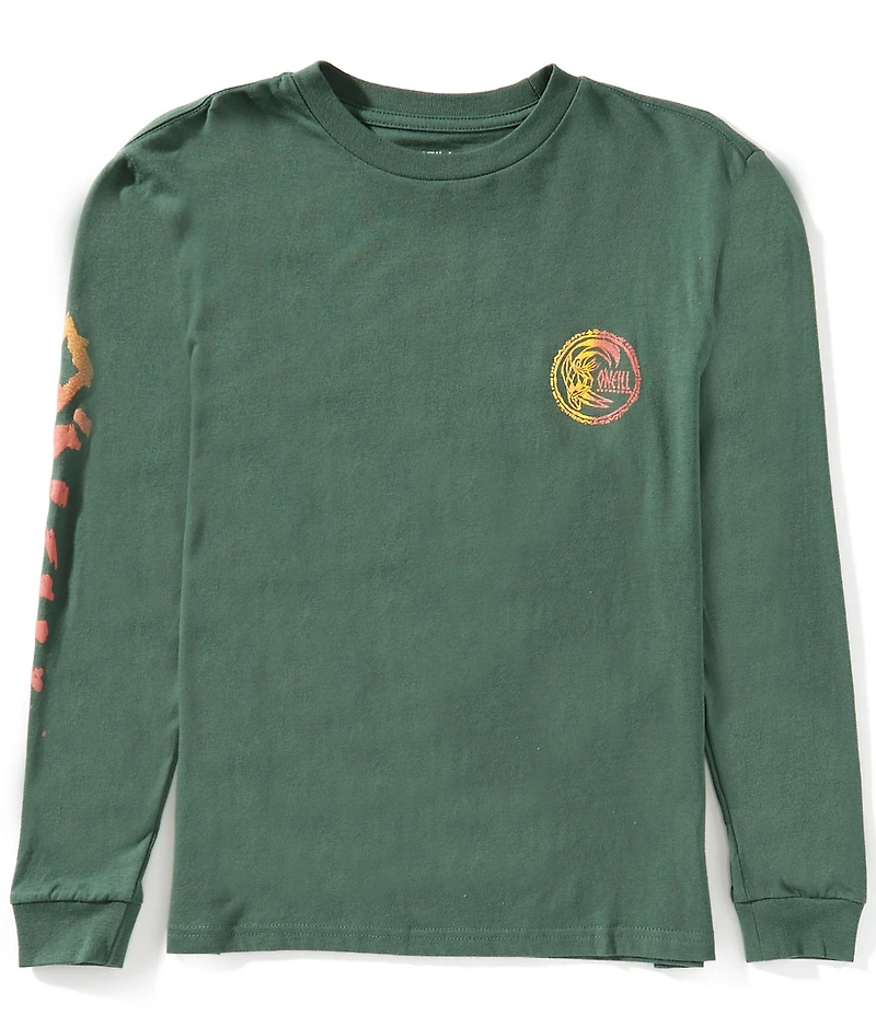 O'Neill Big Boys Long Sleeve Artifact T-Shirt