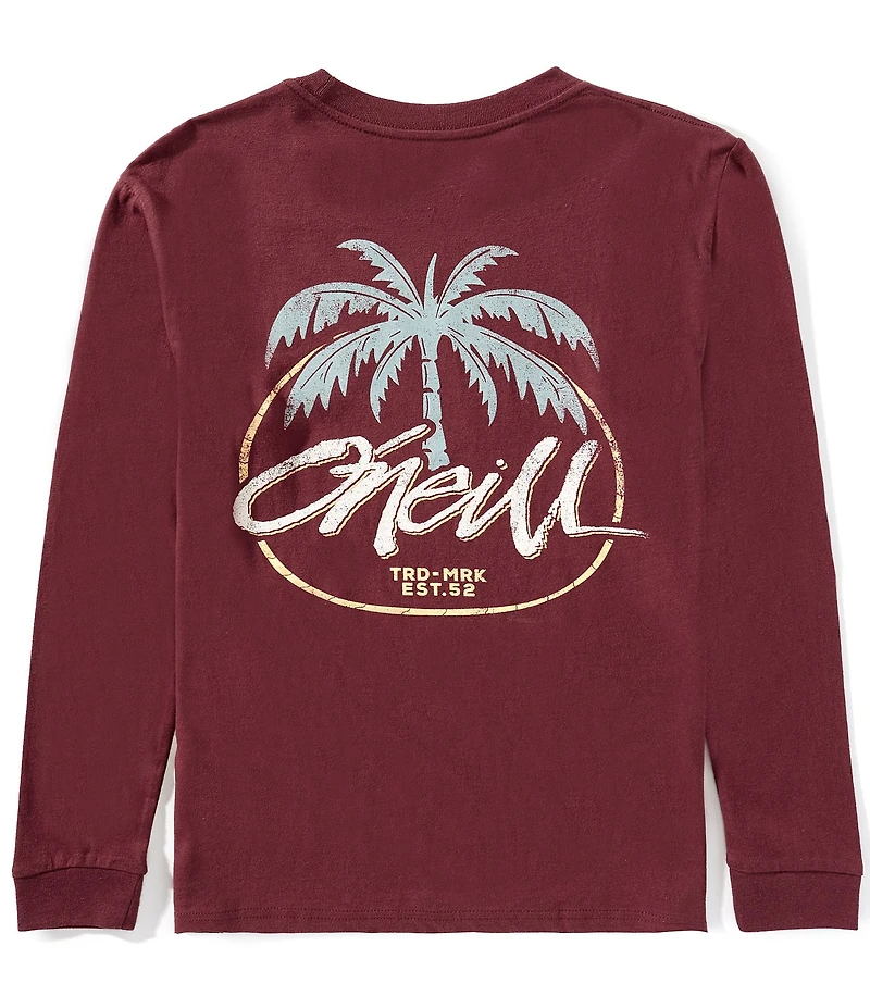 O'Neill Big Boys Long Sleeve Home Grown T-Shirt