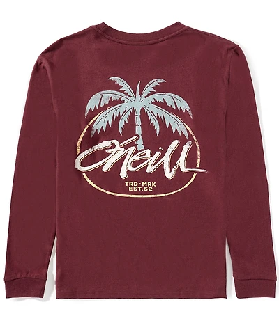 O'Neill Big Boys Long Sleeve Home Grown T-Shirt