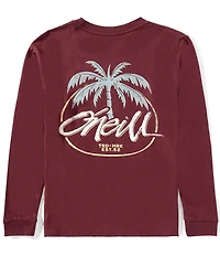 O'Neill Big Boys Long Sleeve Home Grown T-Shirt
