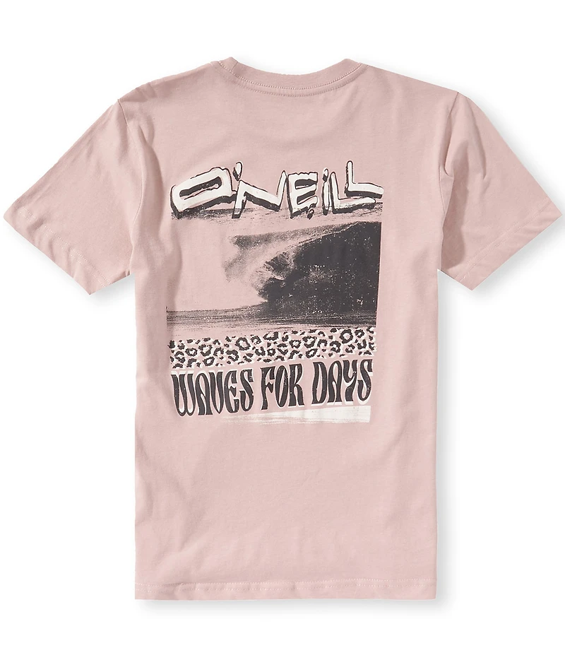 O'Neill Big Boys Short Sleeve Bomb It Tee