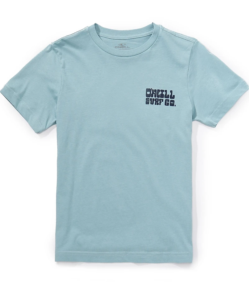 O'Neill Big Boys Short Sleeve De La Cruzer T-Shirt