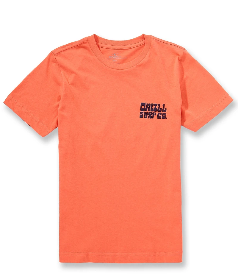 O'Neill Big Boys Short Sleeve De La Cruzer T-Shirt