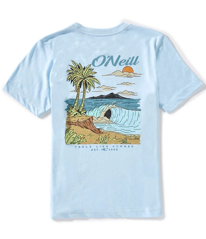 O'Neill Big Boys Short-Sleeve Shorebreak Heathered T-Shirt