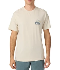 O'Neill Loose Short Sleeve T-Shirt