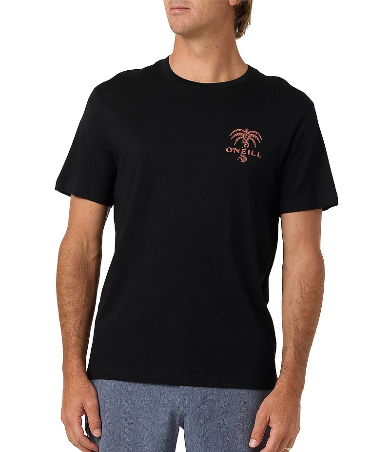 O'Neill Surf Supply Co Short Sleeve T-Shirt