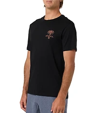 O'Neill Surf Supply Co Short Sleeve T-Shirt