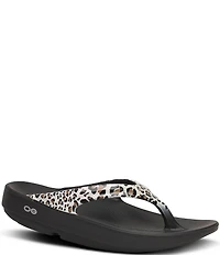 OOFOS OOlala Leopard Recovery Thong Sandals